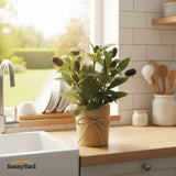 Olivo Artificial con Macetero SunnyYard 1 un