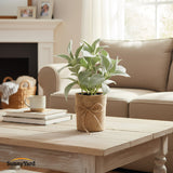 Planta Salvia Artificial con Macetero SunnyYard