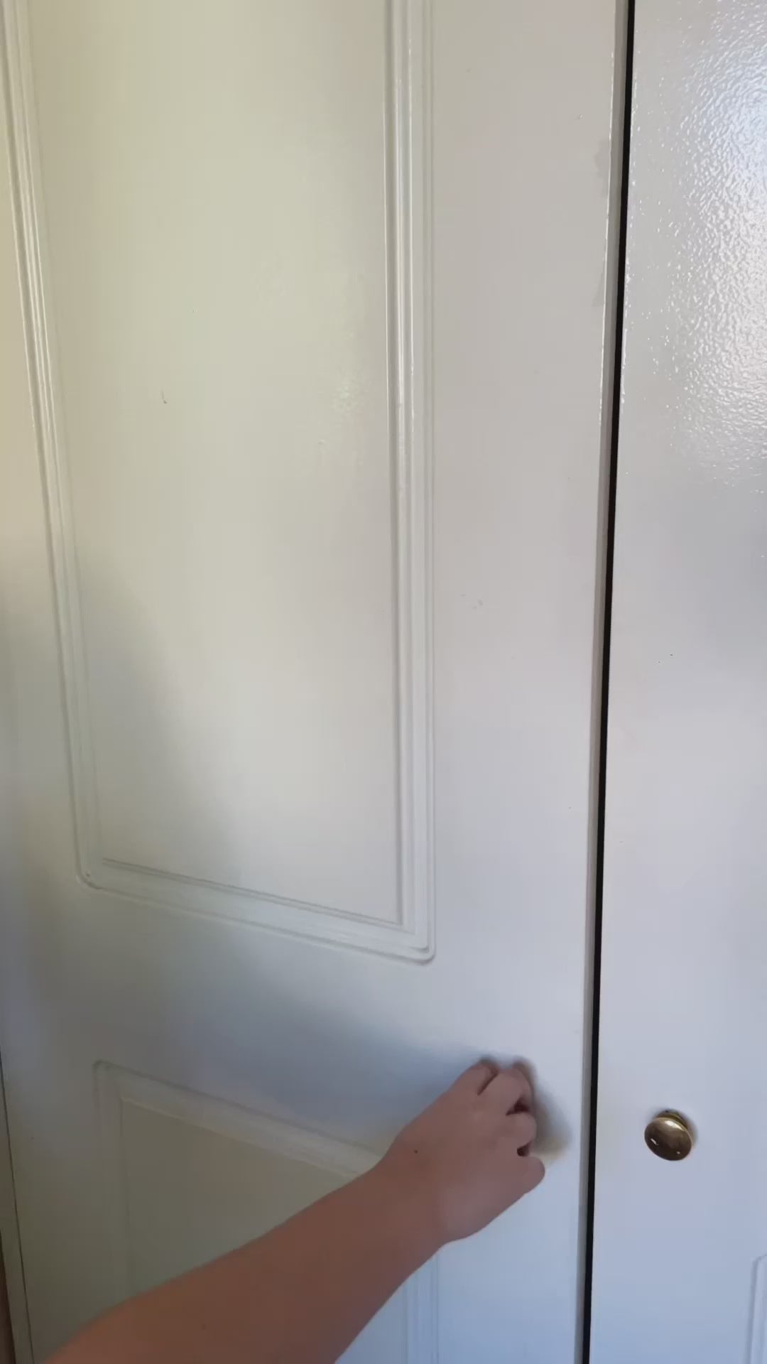 Organizador Clóset Colgante 6 Espacios Home Logics 1 un