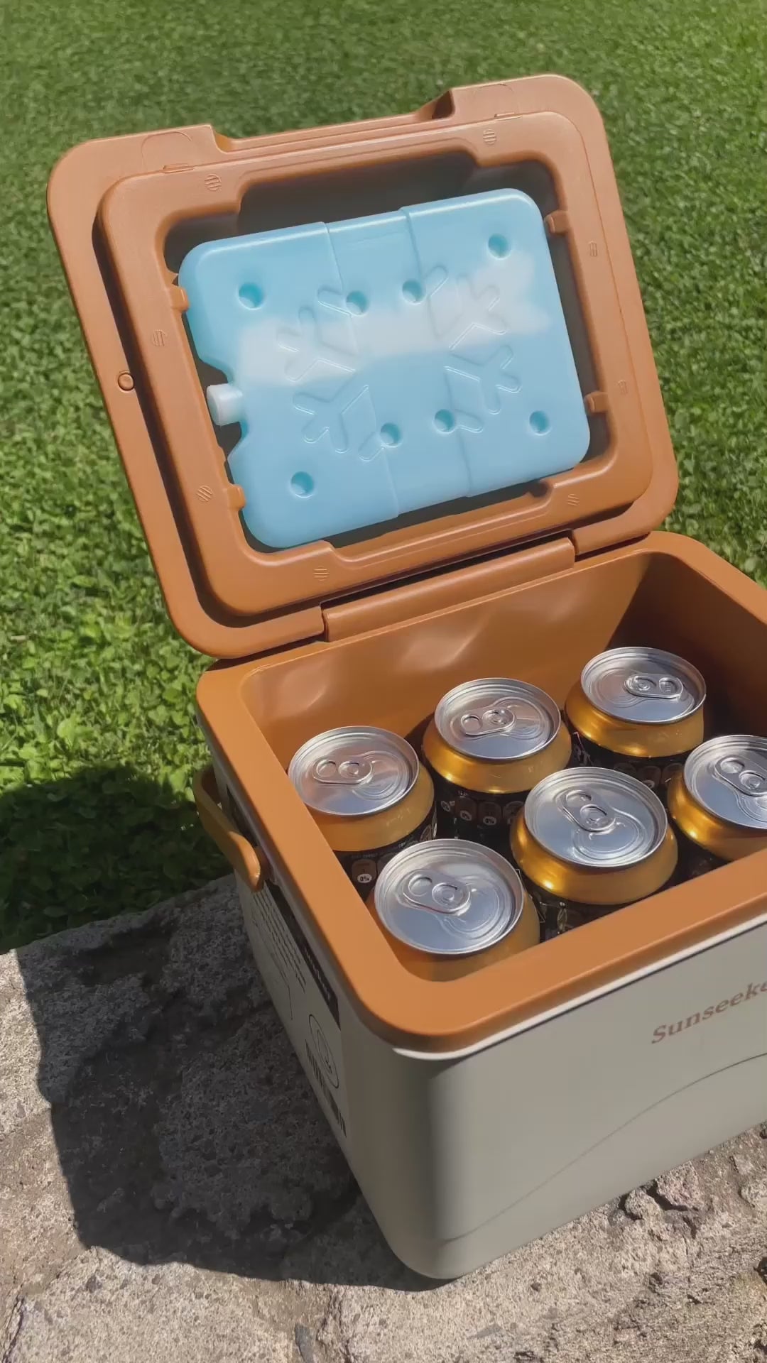 Cooler + Pack Hielo 5L Sunseeker 1 un